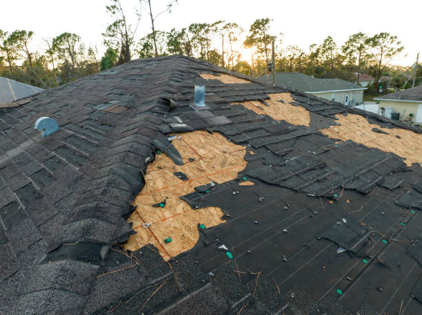 Roof Moss and Algae Removal in Sabina, OH